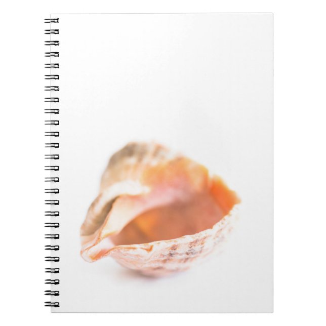 Seashell Notizblock (Vorderseite)