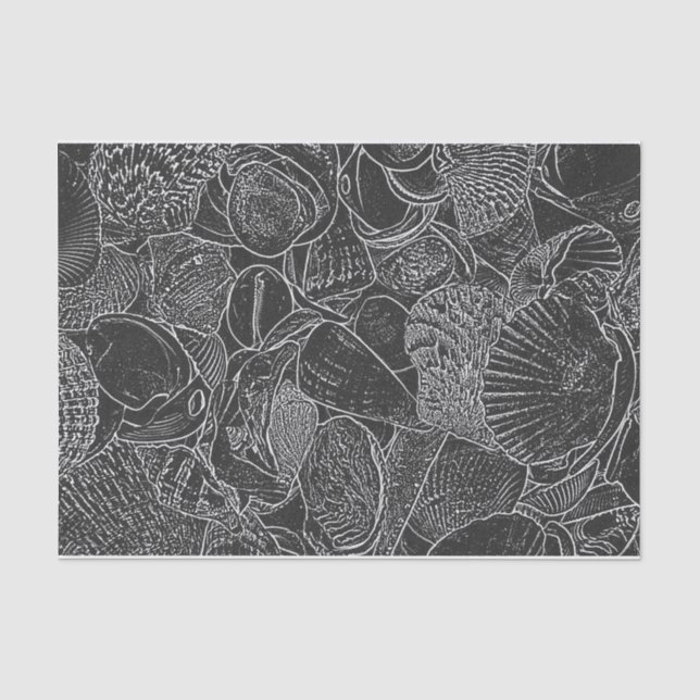 Seashell Ocean Beach Schwarz-Weiß-Skizze Kunst Seidenpapier (Vorderseite)