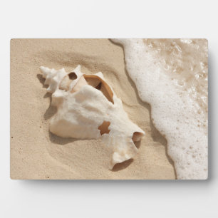 Seashell on Beach Grand Turm Karibik Island Fotoplatte