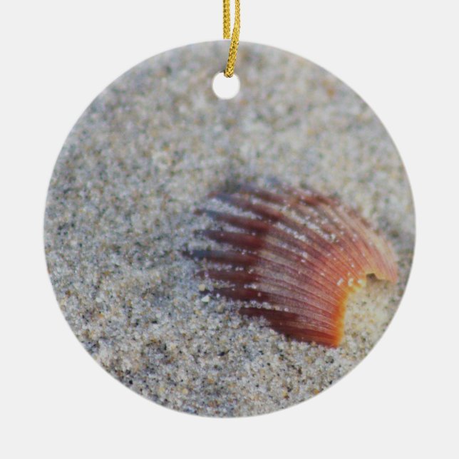 Seashell on Beach Ornament (Vorne)