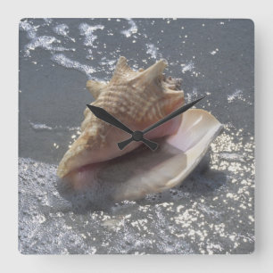 Seashell On Beach Sanibel Island, Florida Quadratische Wanduhr