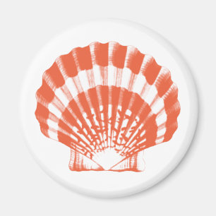 Seashell - orange und weiß magnet