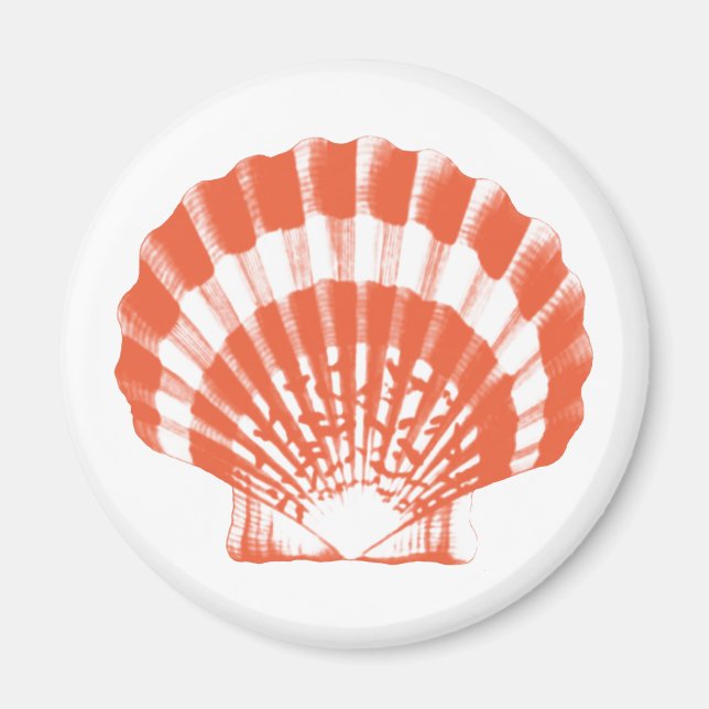 Seashell - orange und weiß magnet (Vorne)