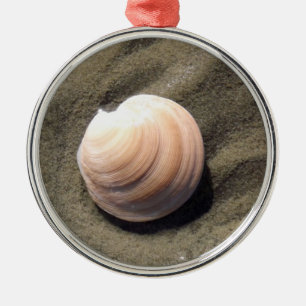 Seashell Ornament Aus Metall