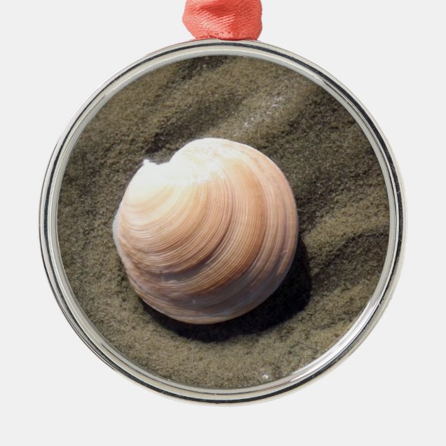 Seashell Ornament Aus Metall (Vorne)
