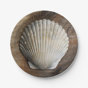 Seashell - Papierplatte Pappteller