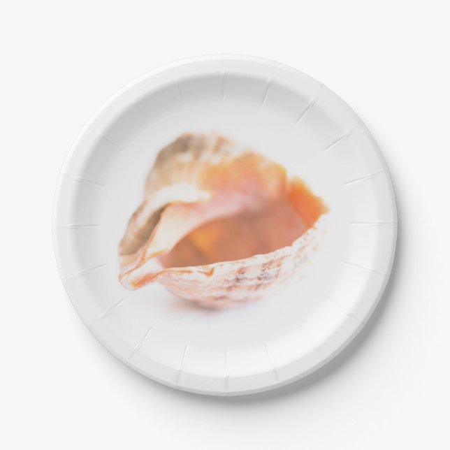 Seashell Pappteller (Vorderseite)