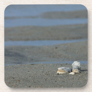 Seashell Pile Getränkeuntersetzer