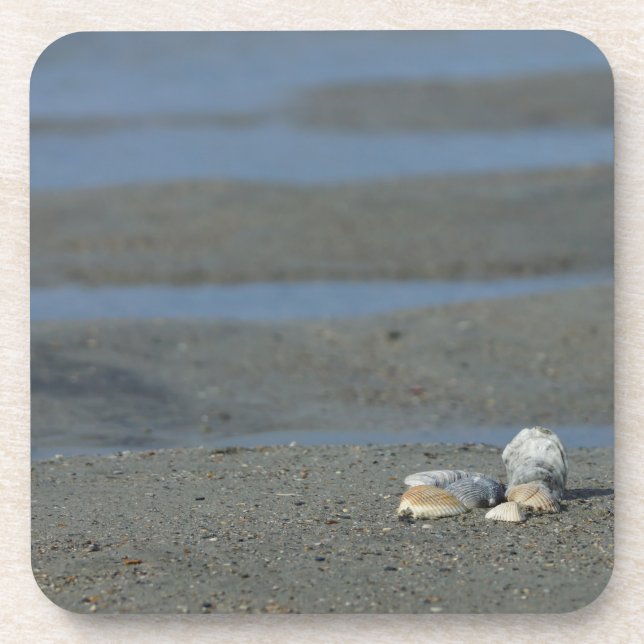 Seashell Pile Getränkeuntersetzer (Vorderseite)