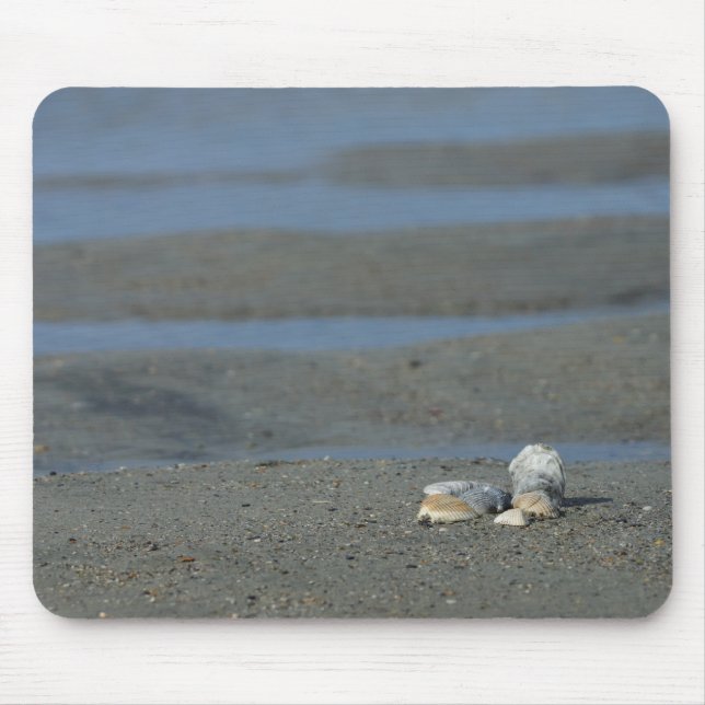Seashell Pile Mousepad (Vorne)