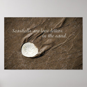 Seashell-Plakat Poster