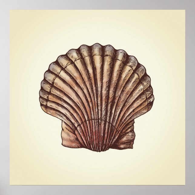 Seashell Poster (Vorne)