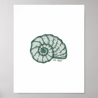 Seashell Print Poster