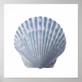 Seashell Print Poster