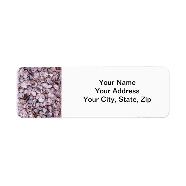 Seashell Rücksendeadresse Lables (Vorne)