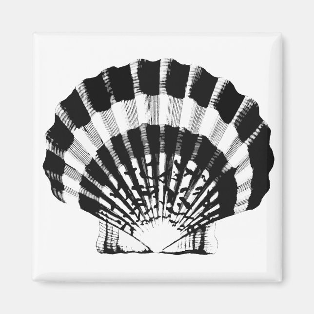 Seashell - schwarz und weiß magnet (Vorne)