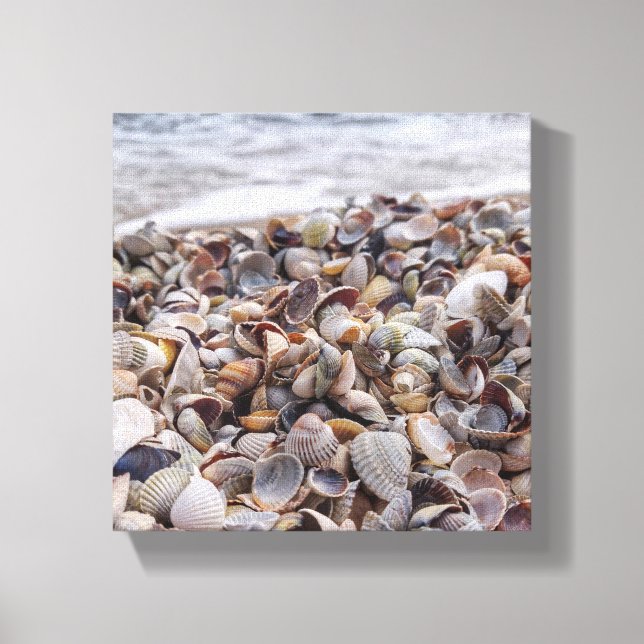 Seashell Serenade Leinwanddruck (Vorderseite)