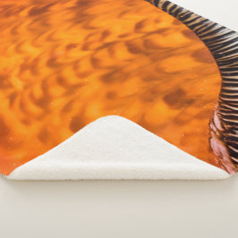 Seashell Sherpadecke