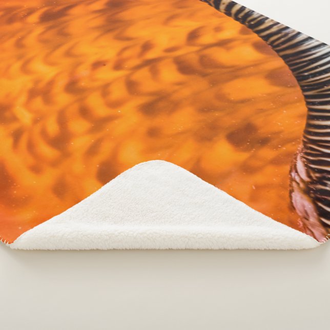 Seashell Sherpadecke (3/4)