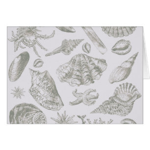 Seashell Soft Antique Art Beach Muscheln