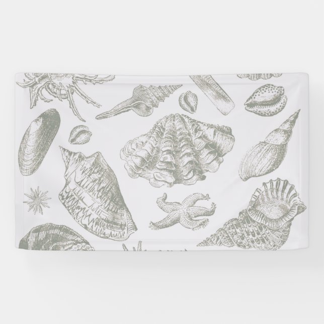 Seashell Soft Antique Art Beach Muscheln Banner (Horizontal)