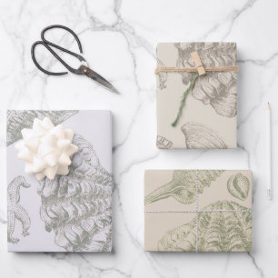 Seashell Soft Antique Art Beach Muscheln Geschenkpapier Set