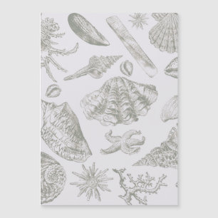 Seashell Soft Antique Art Beach Muscheln Magnetkarte