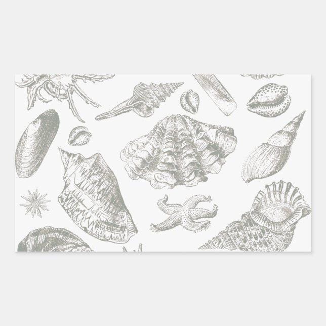Seashell Soft Antique Art Beach Muscheln Rechteckiger Aufkleber (Vorderseite)
