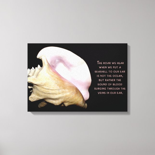 Seashell Sound Wrapped Canvas Leinwanddruck (Vorderseite)