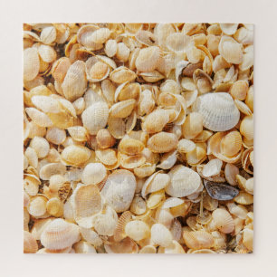 Seashell strukturierte Sommer Strand Hintergrund.