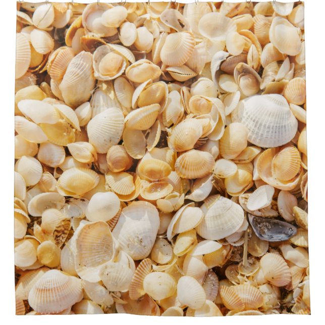 Seashell strukturierte Sommer Strand Hintergrund. Duschvorhang (Vorderseite)