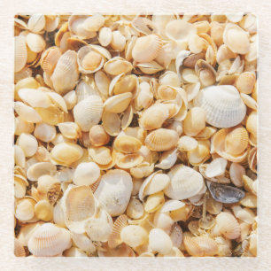 Seashell strukturierte Sommer Strand Hintergrund. Glasuntersetzer