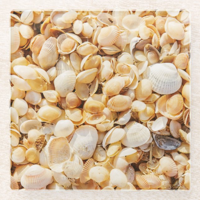 Seashell strukturierte Sommer Strand Hintergrund. Glasuntersetzer (Vorderseite)