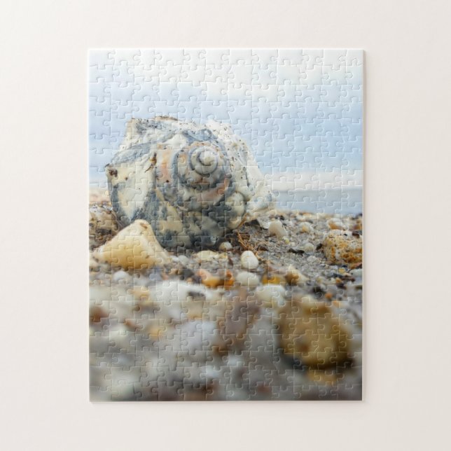 Seashell u. Kiesel (Vertikal)