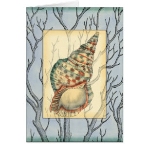 Seashell und Baumaste