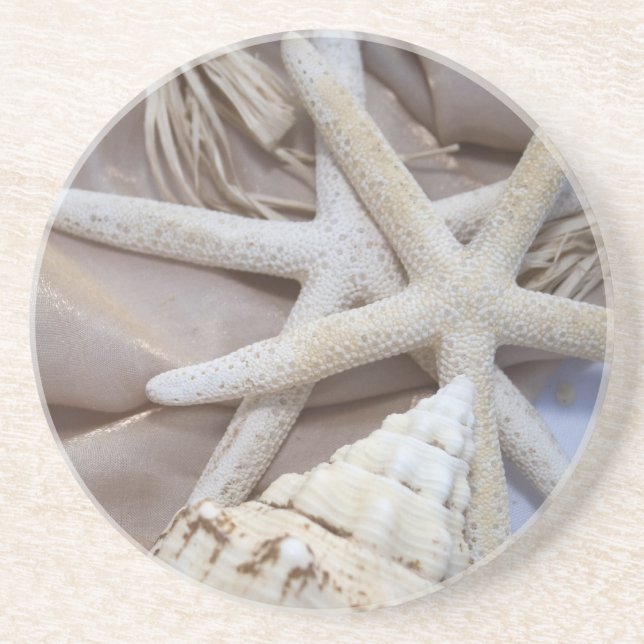 Seashell-Untersetzer Sandstein Untersetzer (Vorne)