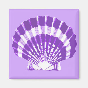 Seashell - violett und weiß magnet