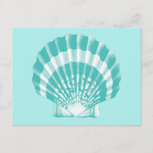 Seashell - Weiches Aqua und Weiß Postkarte