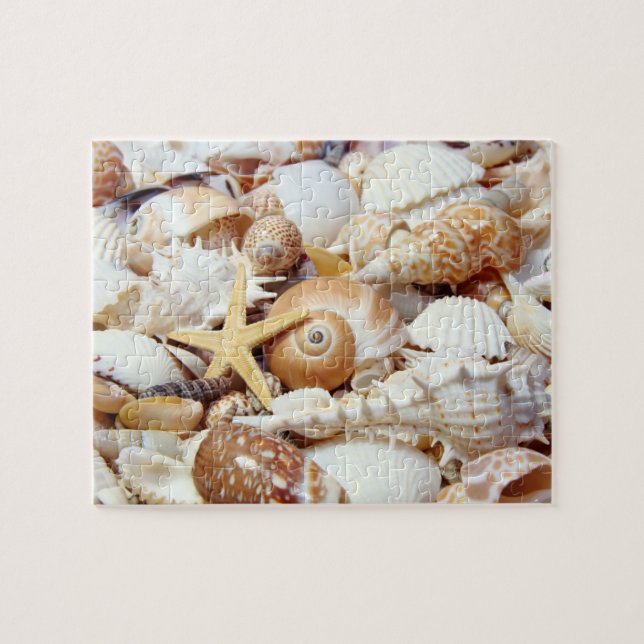 Seashells (Horizontal)
