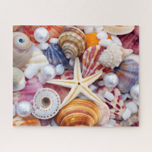 Seashells 520 Stück Puzzle