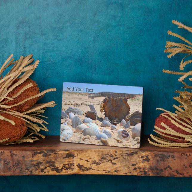 Seashells am Strand von Shirley Taylor Fotoplatte (Seite)
