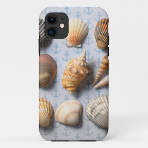 Seashells auf Anker-Hintergrund title_seo2