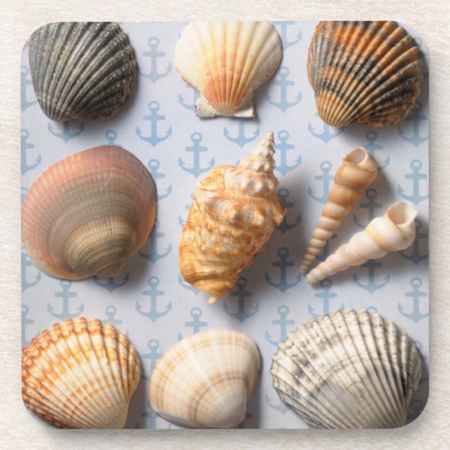 Seashells auf Anker-Hintergrund Getränkeuntersetzer (Vorderseite)
