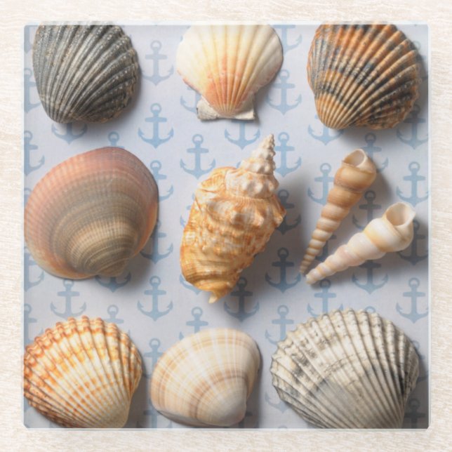 Seashells auf Anker-Hintergrund Glasuntersetzer (Vorderseite)