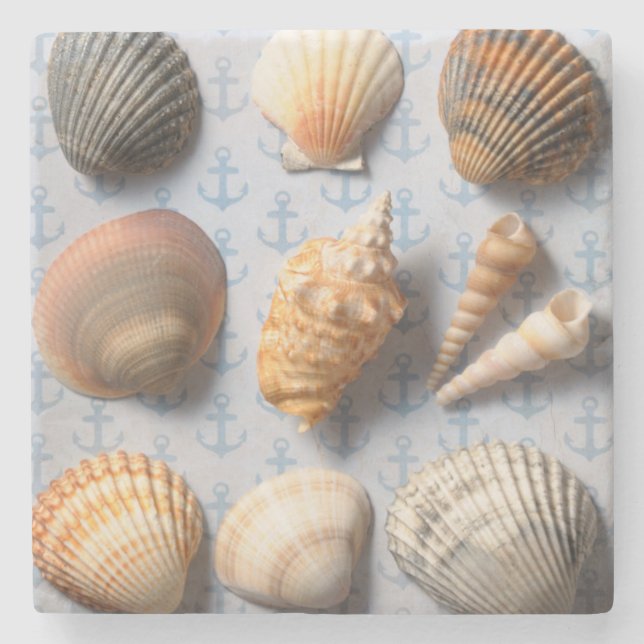 Seashells auf Anker-Hintergrund Steinuntersetzer (Vorderseite)