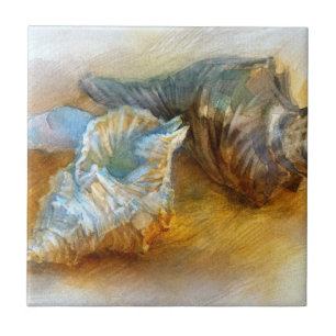 Seashells auf dem Strand Fliese