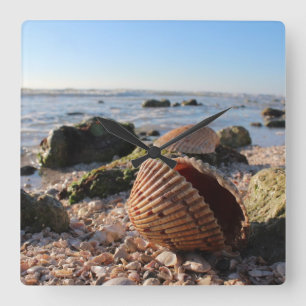 Seashells auf dem Strand in Florida-Wanduhr Quadratische Wanduhr