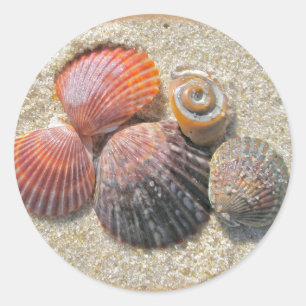 Seashells auf den Strand-koordiniereneinzelteilen Runder Aufkleber