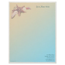 Seashells auf einem Strand