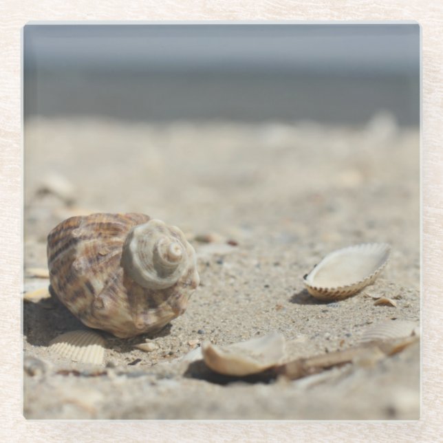 Seashells auf Sand durch das Meer Glasuntersetzer (Vorderseite)